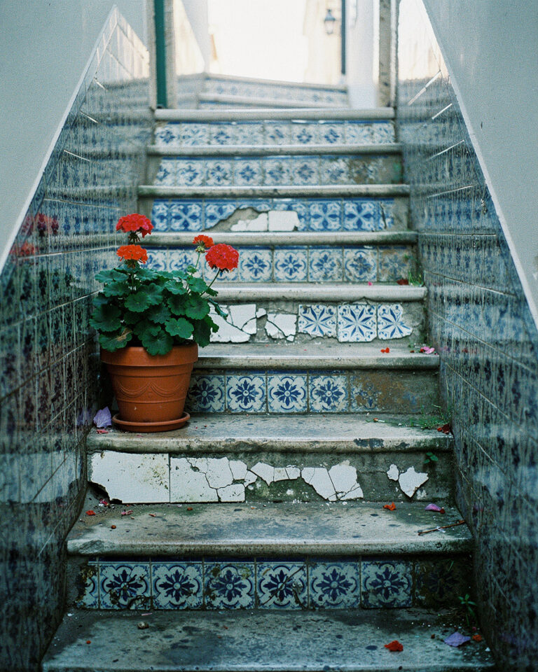 These stairs have been wearing the same tiles for two hundred years. The light touches them like it remembers. I just hold the camera still and let morning do the rest. #sofiacostafilm #sofiacosta #alfama #lisbon #portugal #35mm #filmphotography #slowtravel #saudade #filmlook #unposed