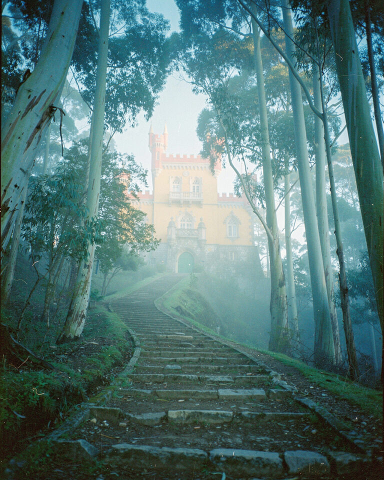 Worn stone steps leading upward through dense fog between tall eucalyptus trees in Sintra forest at dawn, soft diffused grey light.