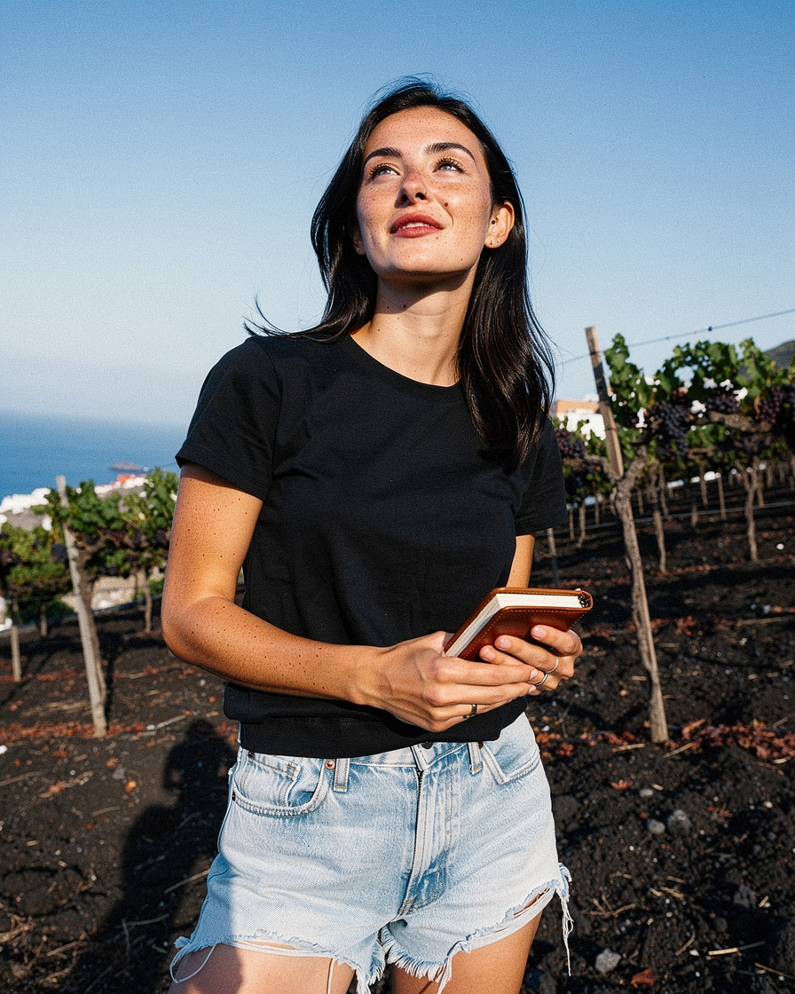 santorini wine tasting assyrtiko: Low basket-trained Assyrtiko grapevines curling over black volcanic soil at a Santorini vin