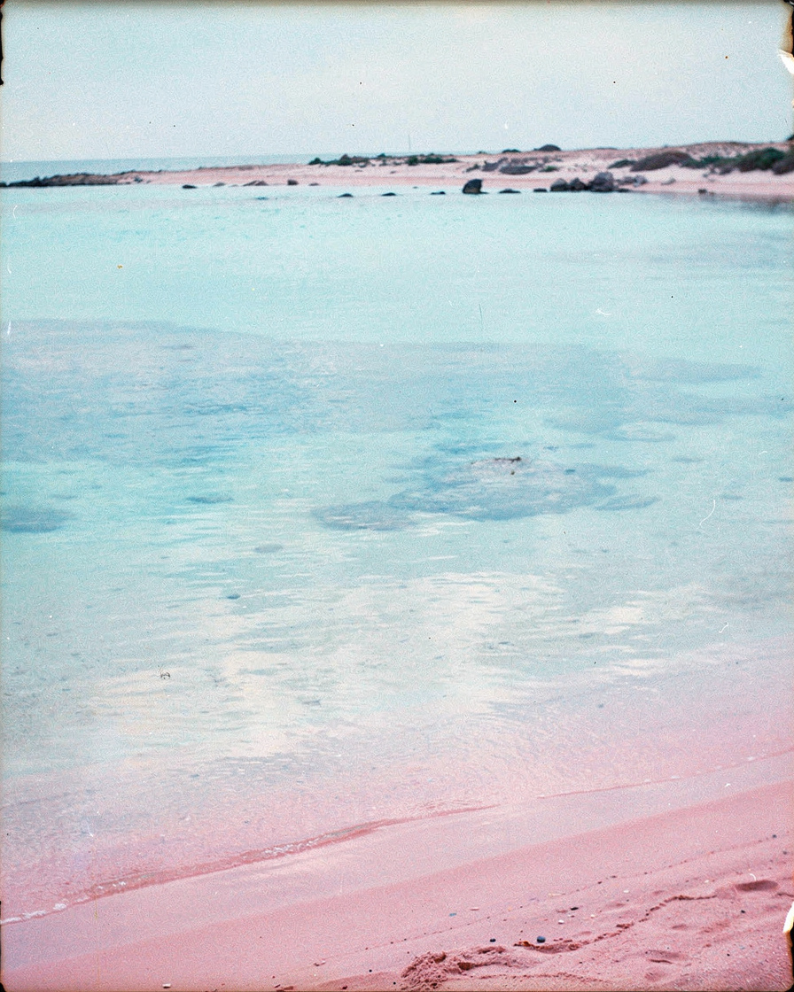 elafonisi beach early morning: Empty Elafonisi beach in Crete at early morning, pink-tinged sand meeting a turquoise lagoon, 